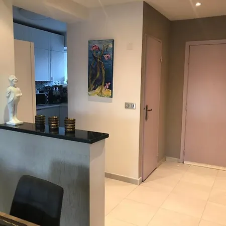 Apartment Loubet- Marina Baie Des Anges -au Bon Vivre - 2 Pieces- Le Ducal - 60m2 Luxe *